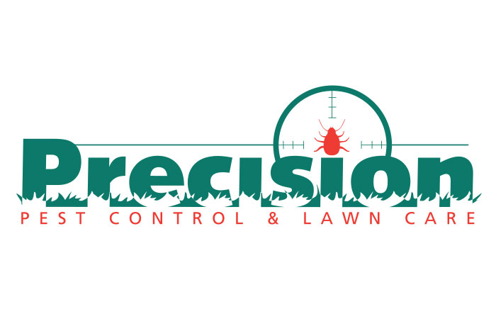 Precision Logo